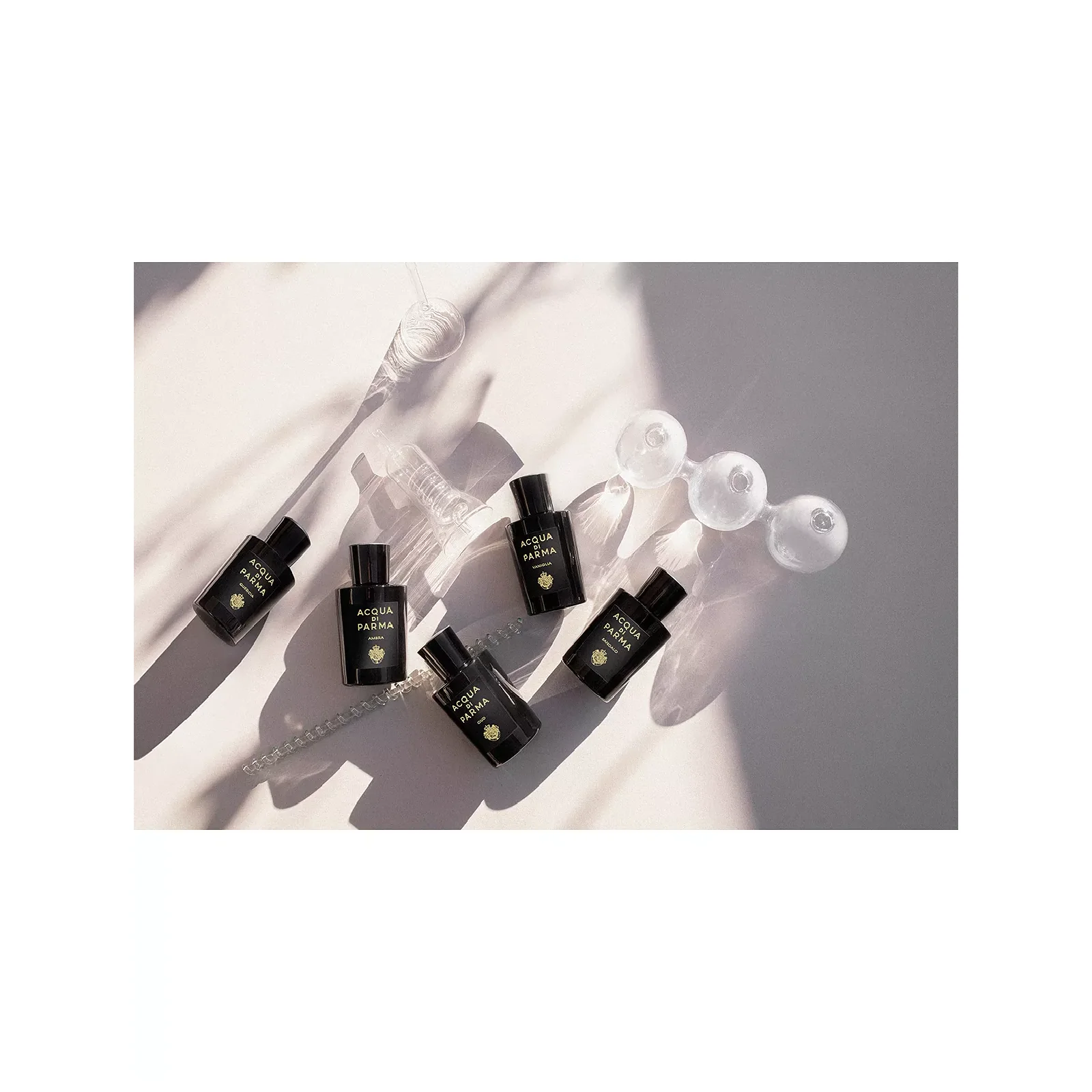 Acqua Di Parma Sandalo Eau de Parfum for Everyone - Image 8