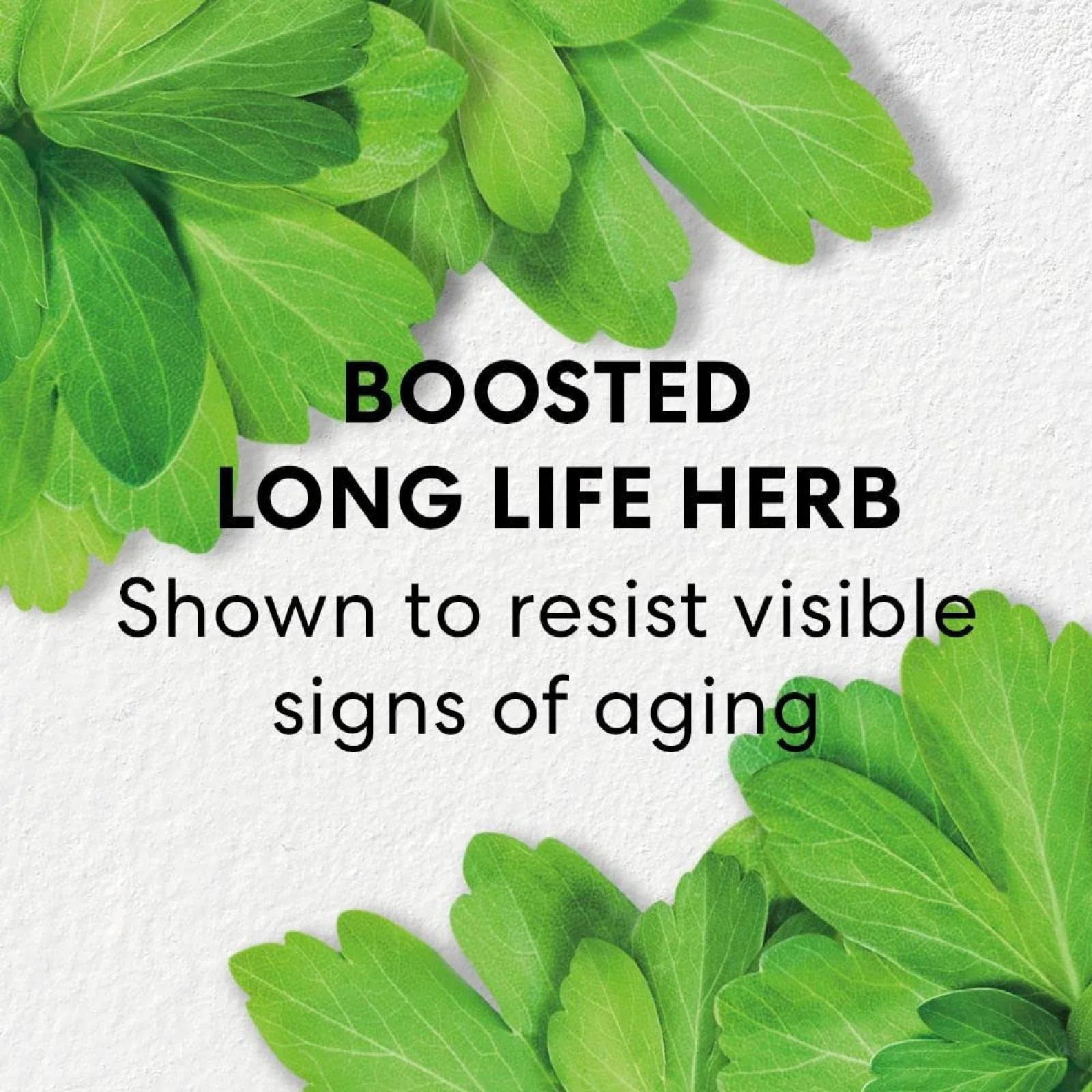 Bareminerals Skinlongevity Long Life Herb Night Treatment for Women - Image 3