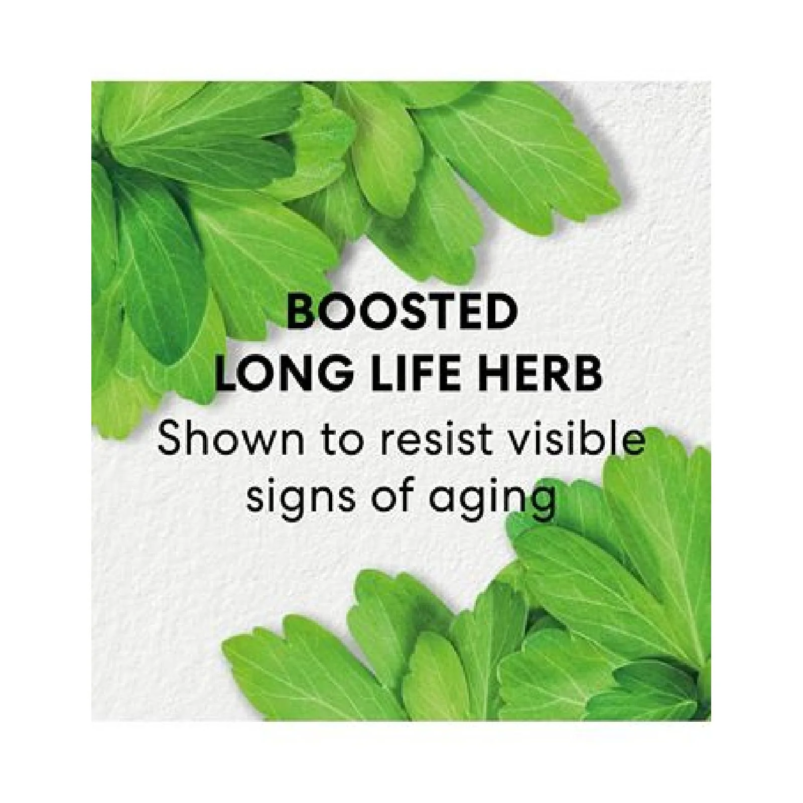 Bareminerals Skinlongevity Long Life Herb Serum - Image 6