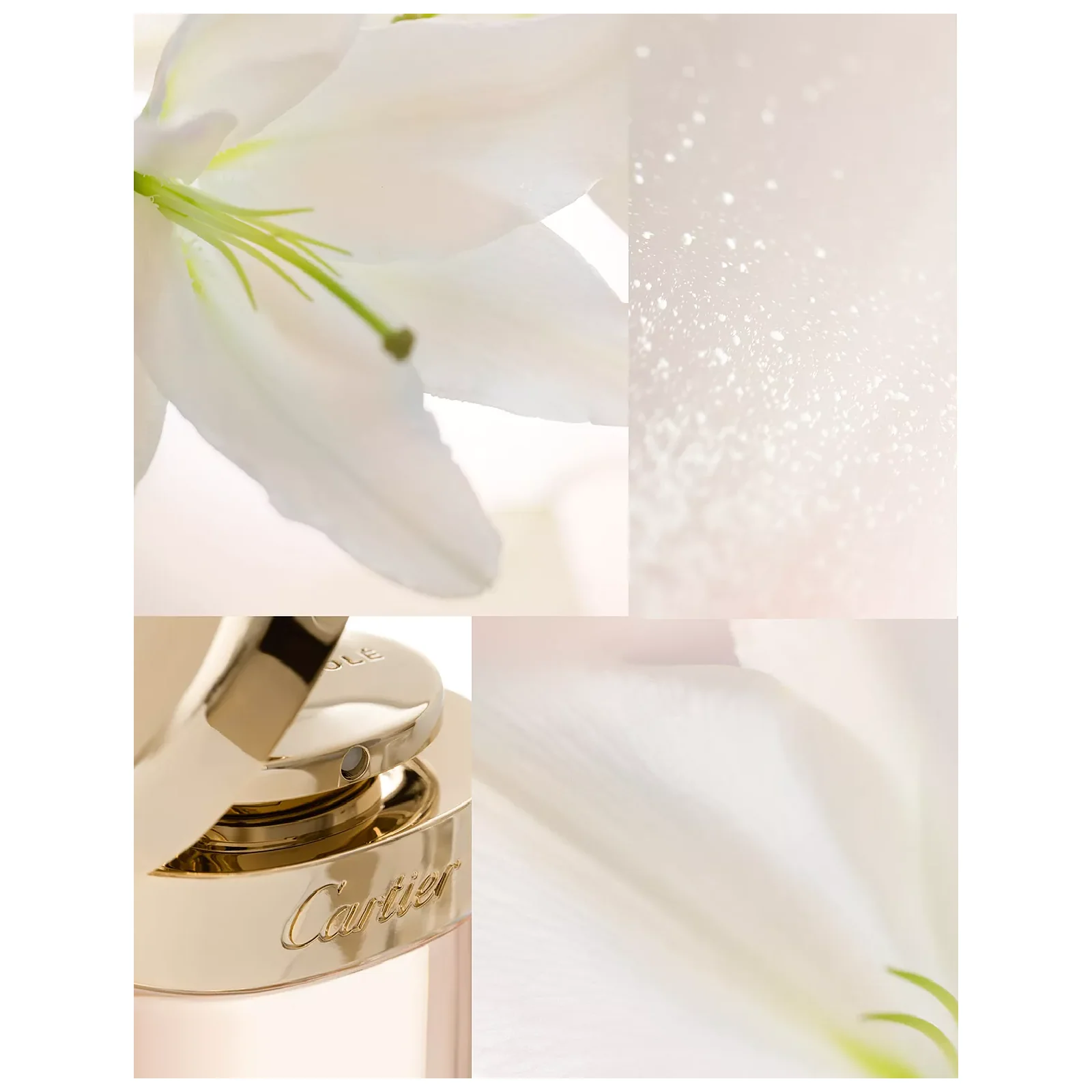 Cartier Baiser Vole Eau de Parfum for Women - Image 4