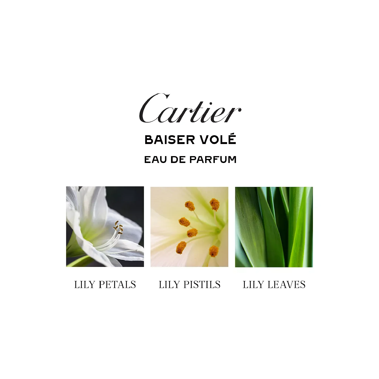 Cartier Baiser Vole Eau de Parfum for Women - Image 5