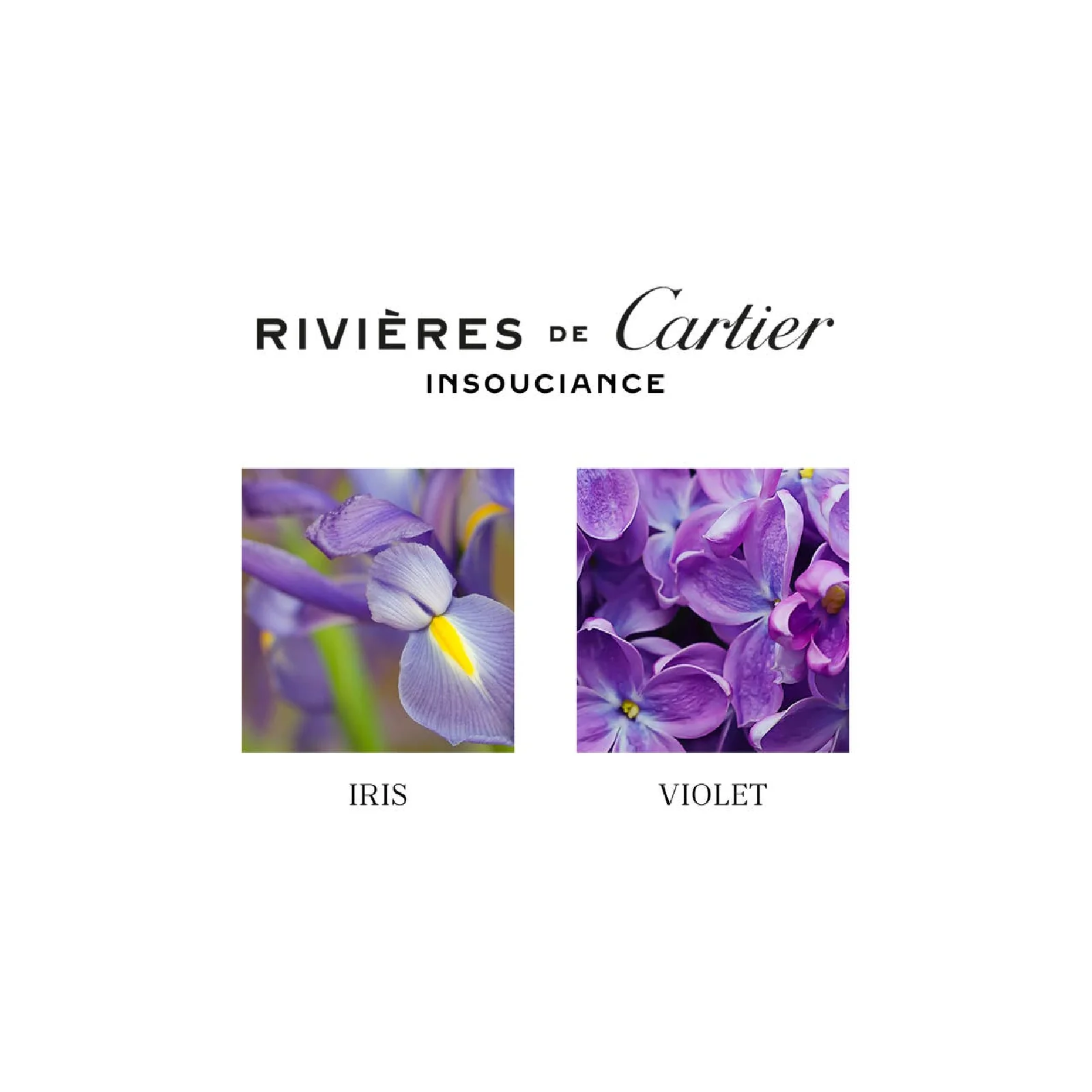 Cartier Rivieres De Cartier Insouciance Eau de Toilette for Everyone - Image 3