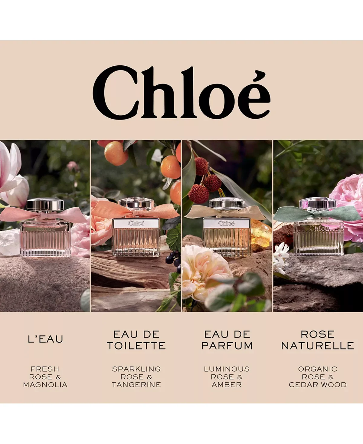 Chloe Eau de Parfum for Women - Image 26