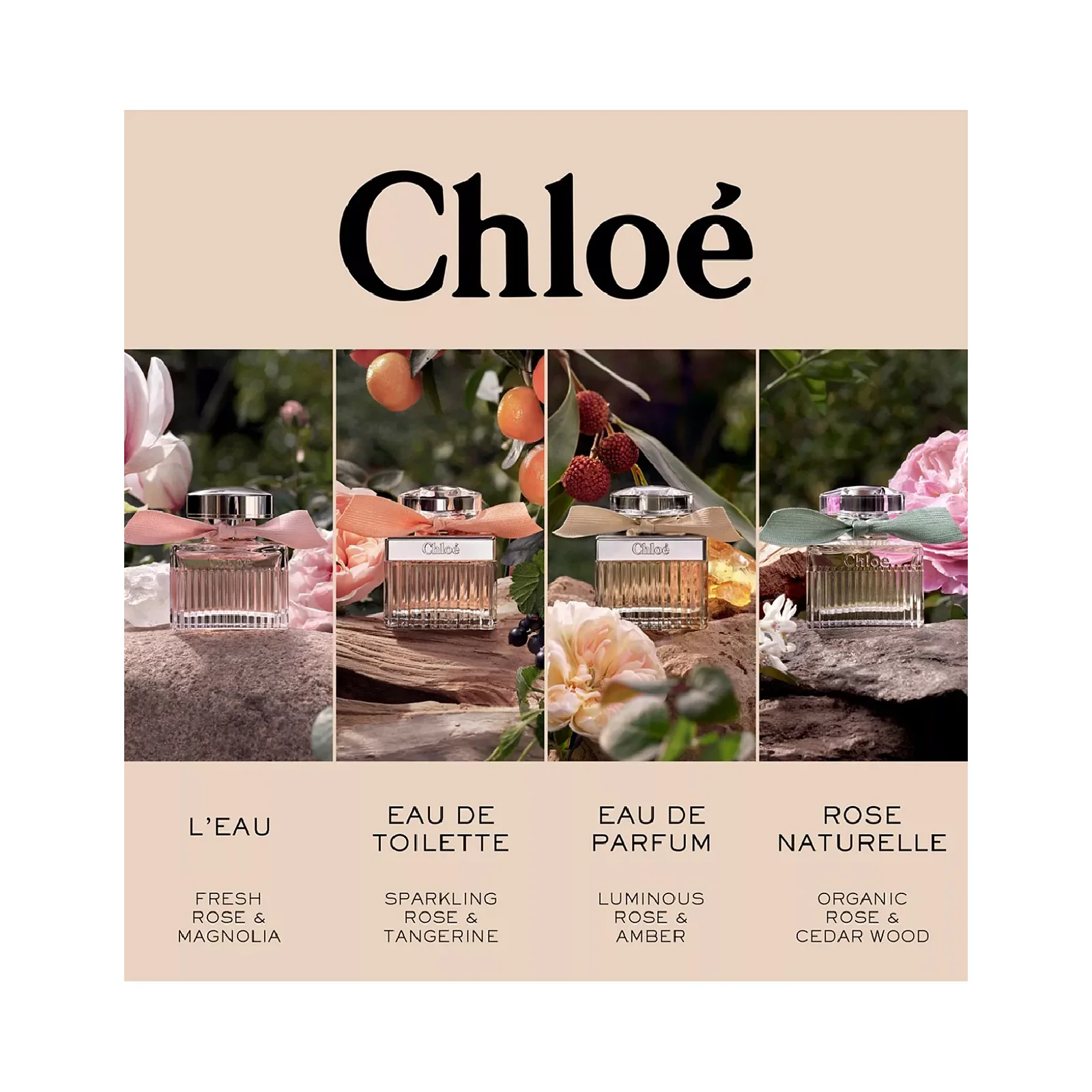 Chloe Eau de Parfum for Women - Image 8