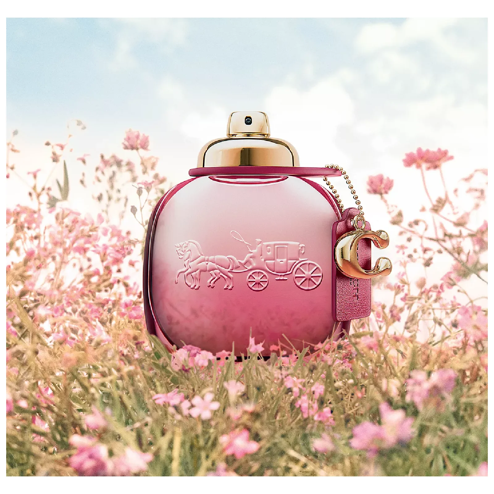 Coach Wild Rose Eau de Parfum for Women - Image 2