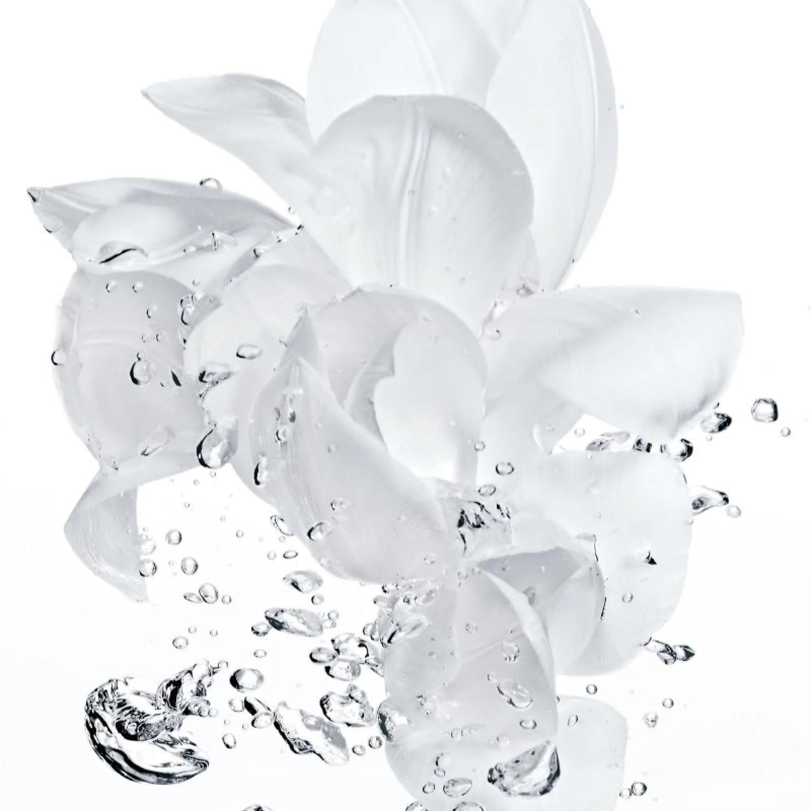 Dior Hydra Life Intense Sorbet Crème for Women - Image 4
