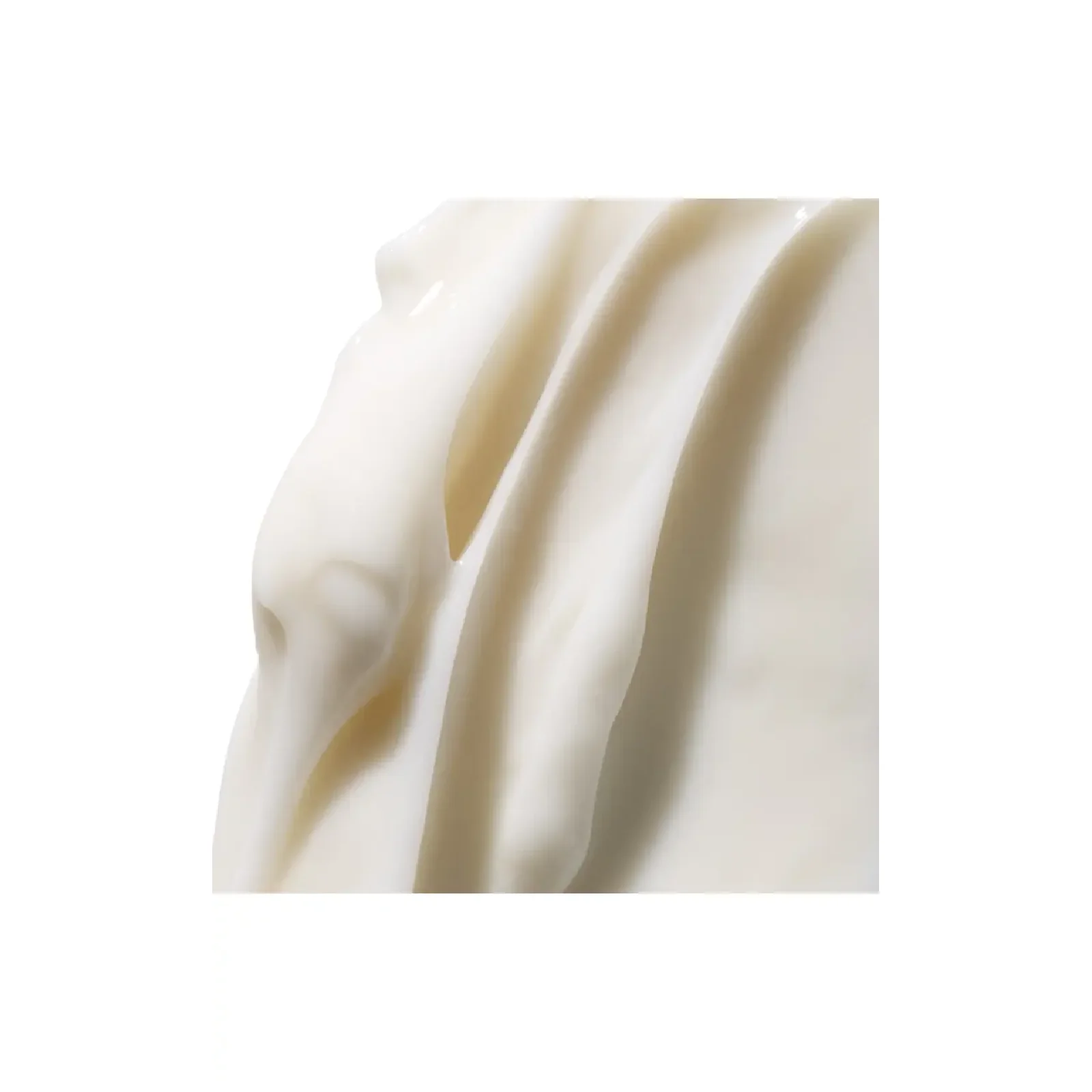 Fresh Rose Deep Hydration Face Cream for Women - Image 2