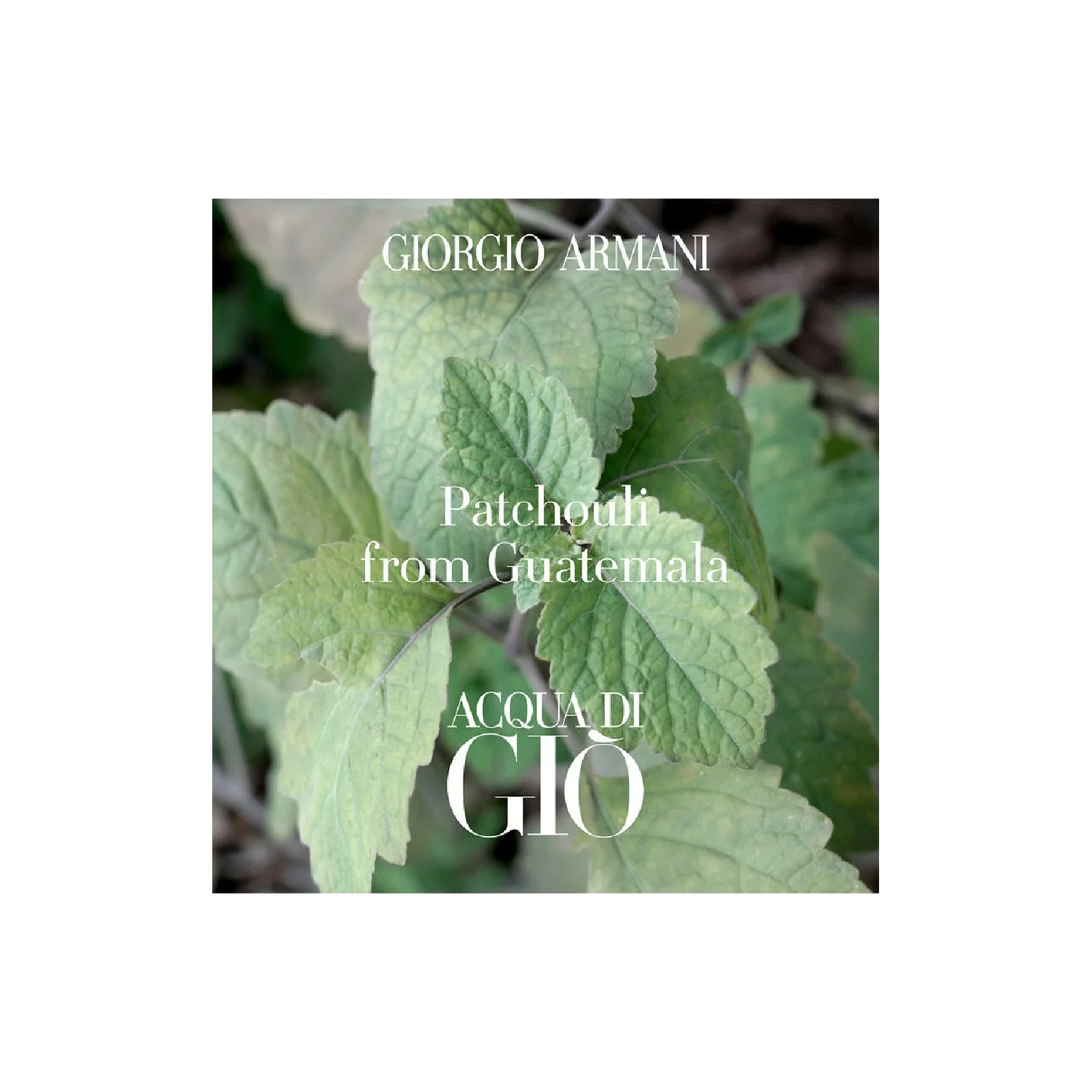 Giorgio Armani Acqua Di Gio Profondo Eau de Parfum for Men - Image 13