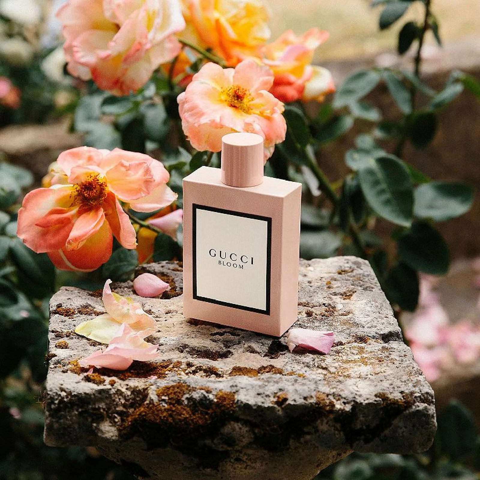 Gucci Bloom Eau de Parfum for Women - Image 12