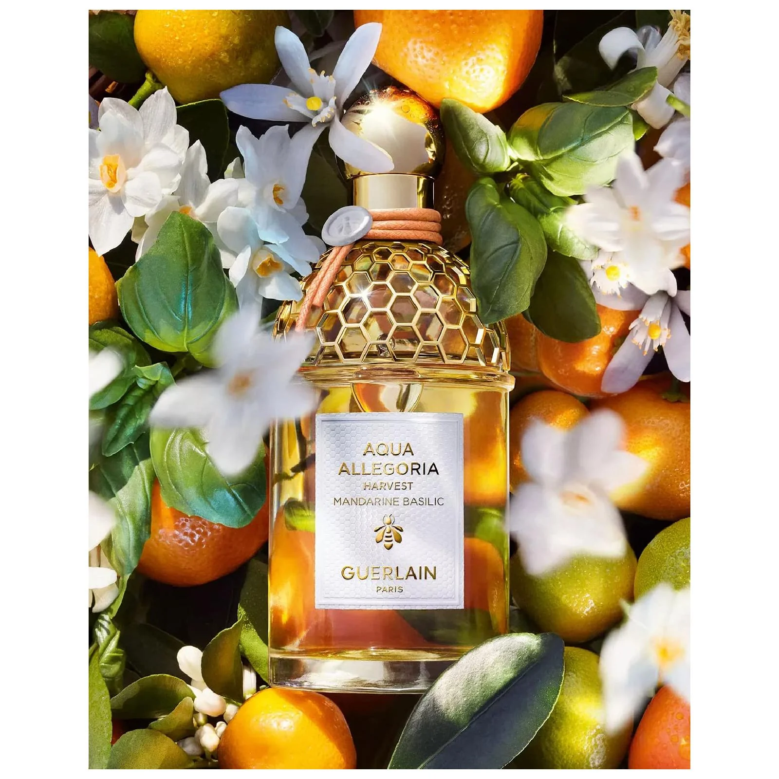 Guerlain Aqua Allegoria Harvest Mandarine Basilic Eau de Toilette for Women - Image 2