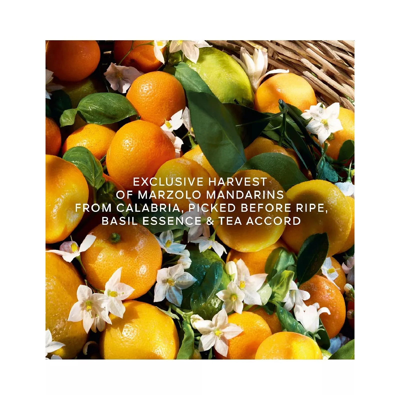 Guerlain Aqua Allegoria Harvest Mandarine Basilic Eau de Toilette for Women - Image 4