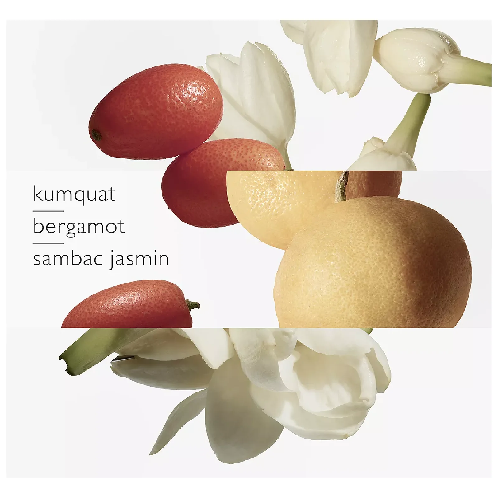 Hermes Le Jardin De Monsieur Li Eau de Toilette for Everyone - Image 3