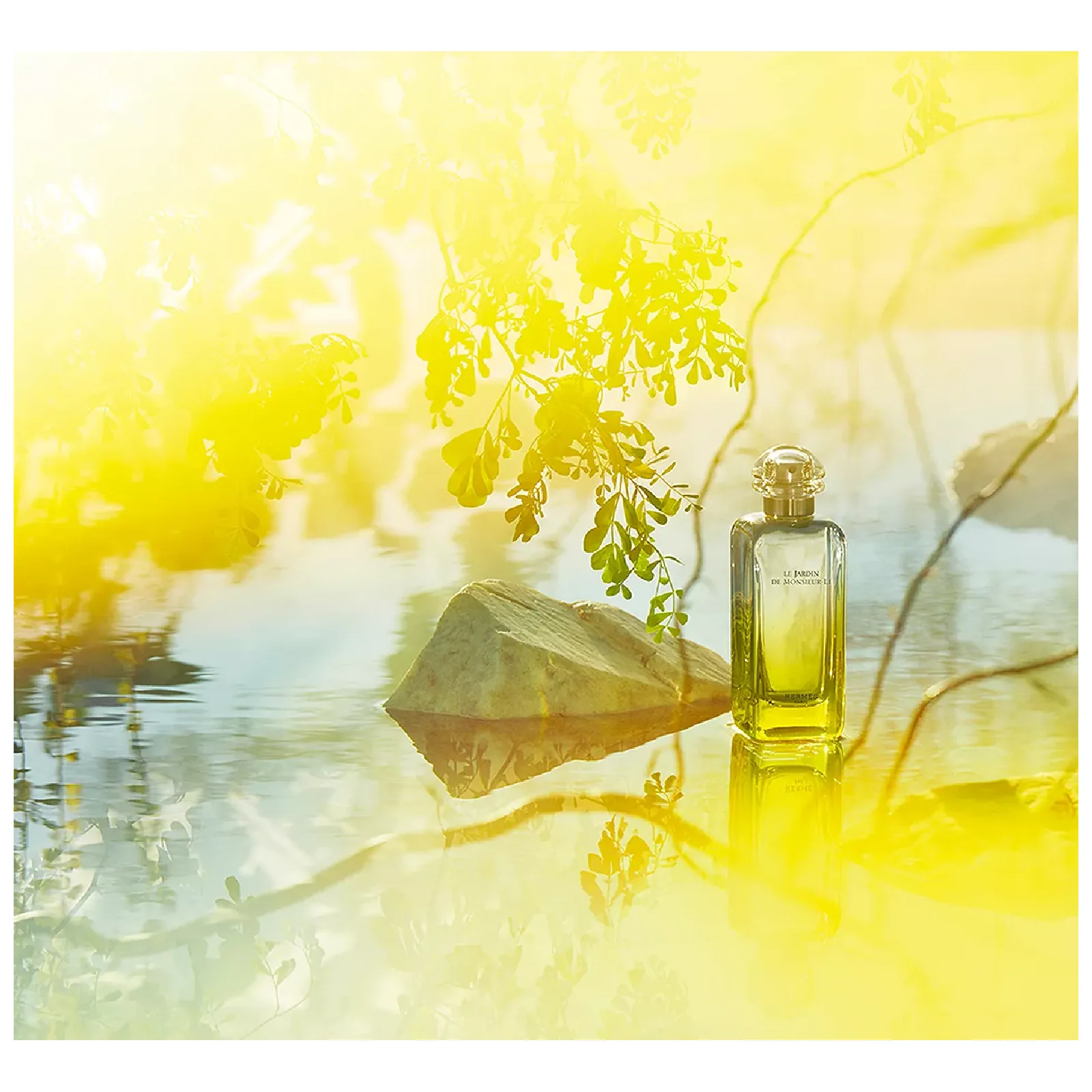 Hermes Le Jardin De Monsieur Li Eau de Toilette for Everyone - Image 4