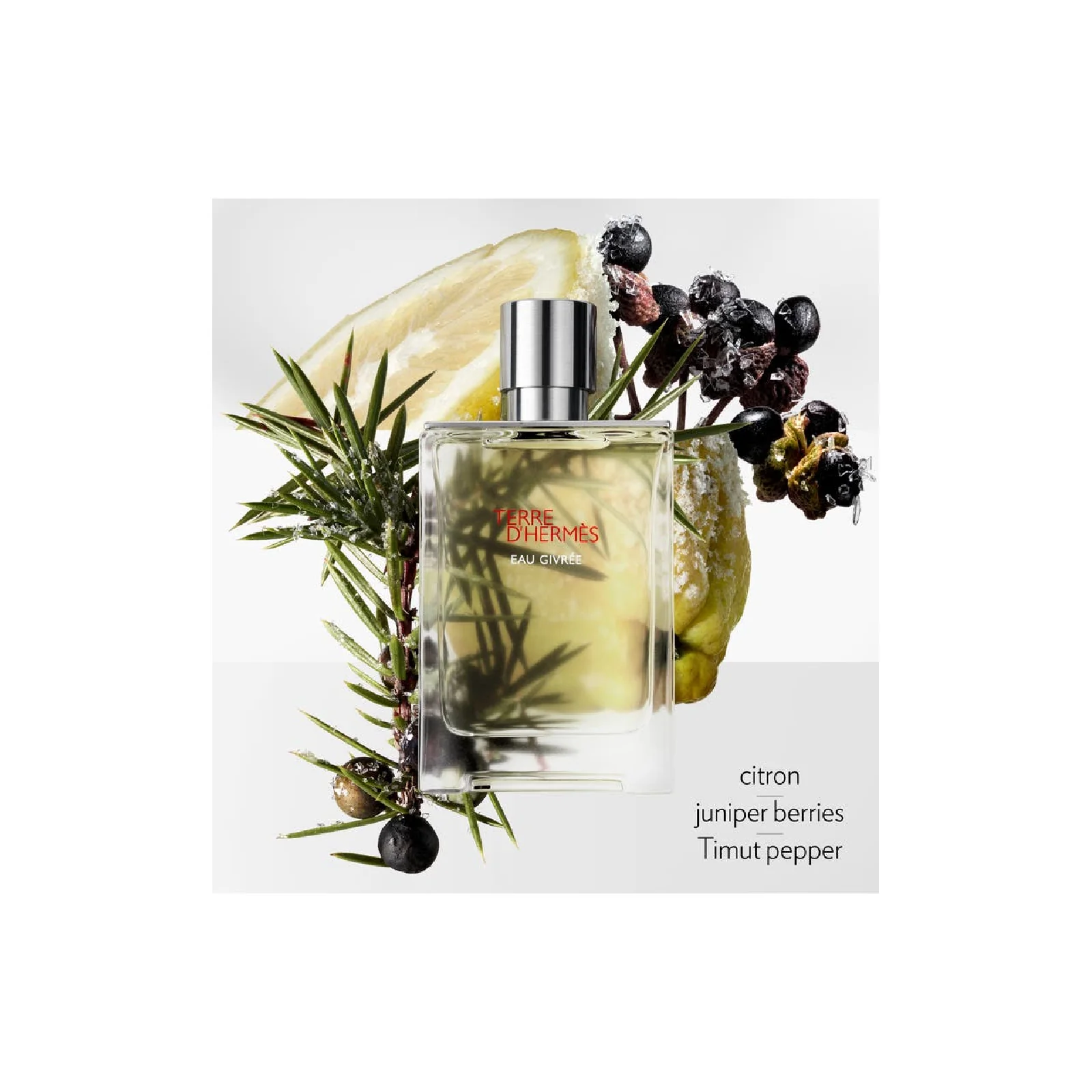 Hermes Terre d'Hermes Eau Givree Eau de Parfum for Men - Image 7