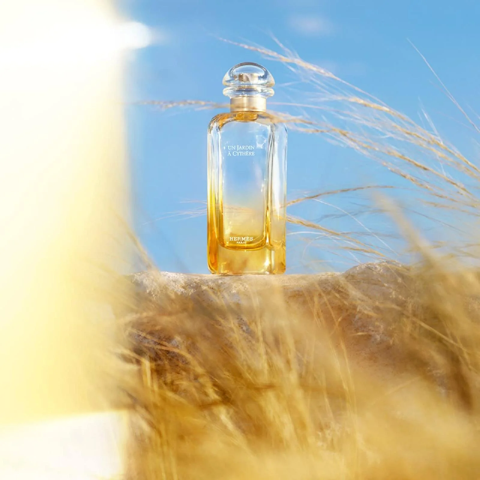 Hermes Un Jardin A Cythere Eau de Toilette for Everyone - Image 4