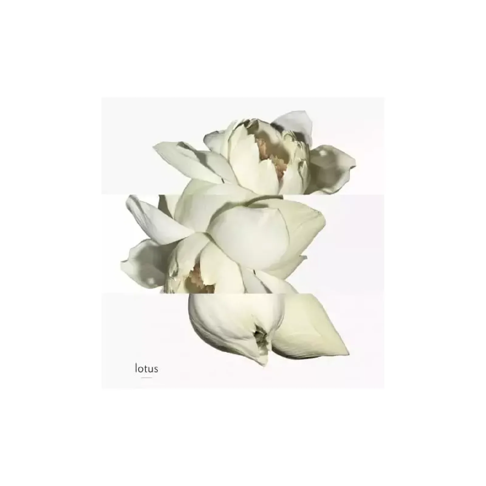 Hermes Un Jardin Sur Le Nil Eau de Toilette for Women - Image 14