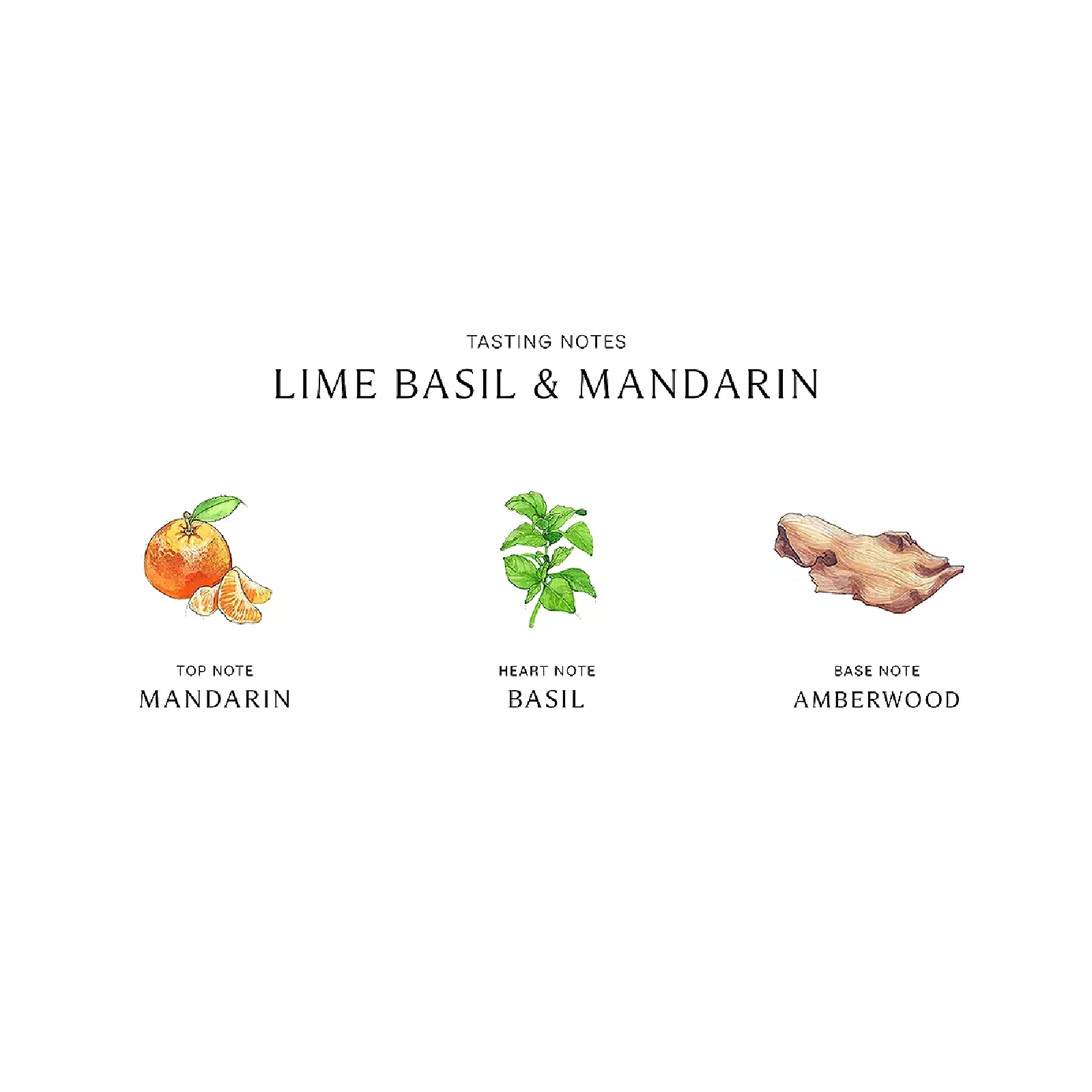 Jo Malone Lime Basil & Mandarin Eau de Cologne for Women - Image 5