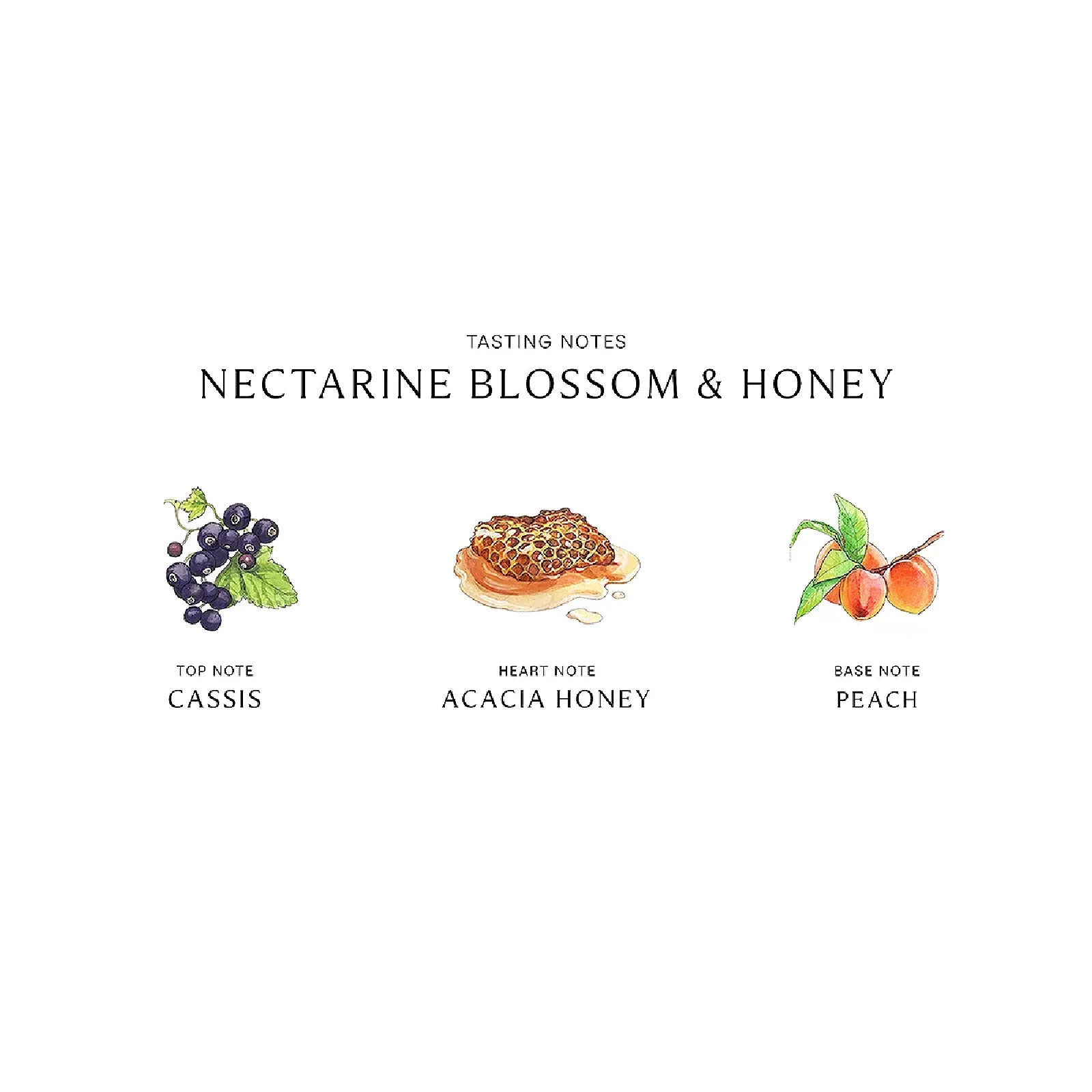 Jo Malone Nectarine Blossom & Honey Eau de Cologne for Women - Image 3