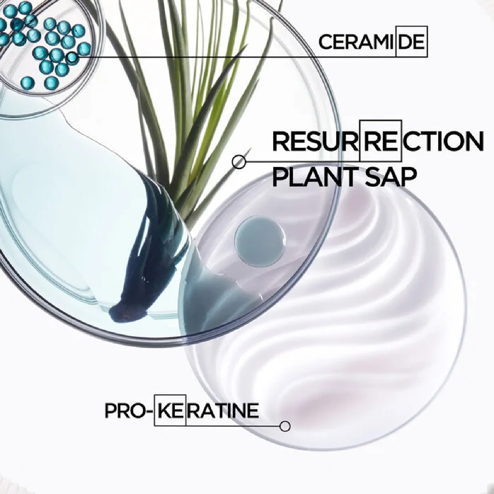 Kerastase Resistance Masque Force Architecte Reconstructing for Women - Image 4