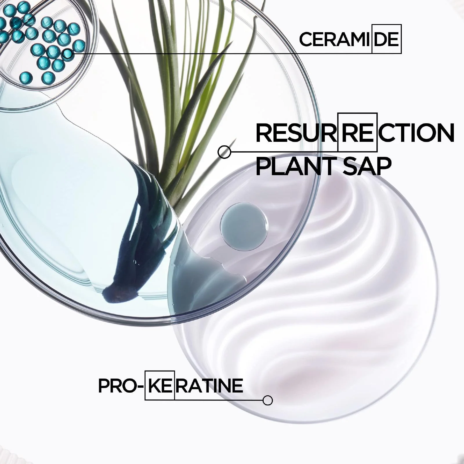 Kerastase Resistance Masque Force Architecte Strengthening Masque for Everyone - Image 5