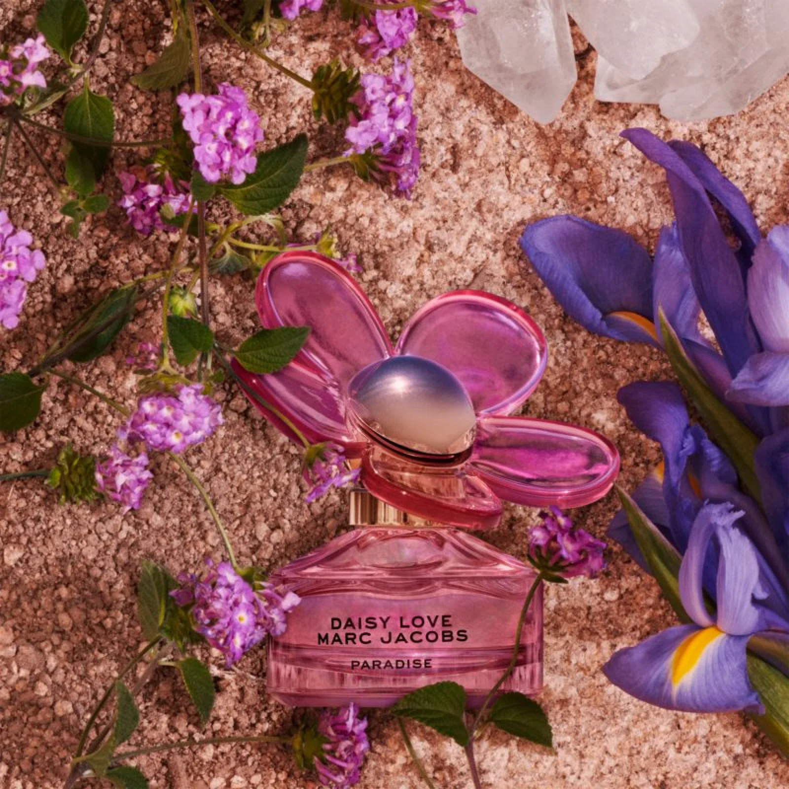 Marc Jacobs Daisy Love Paradise Limited Edition Eau de Toilette for Women - Image 3