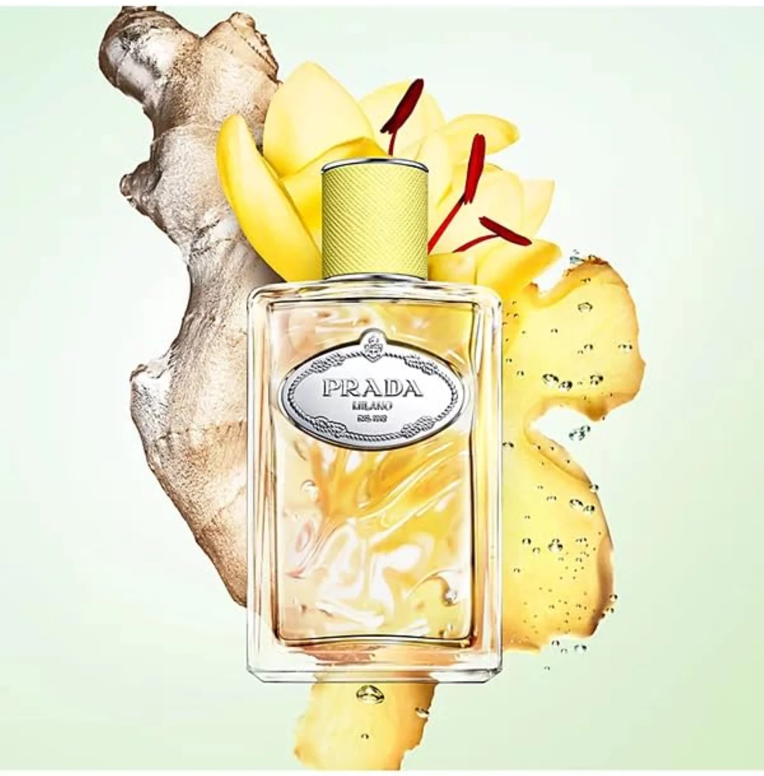 Prada Milano Infusion De Gingembre Eau de Parfum for Everyone - Image 5
