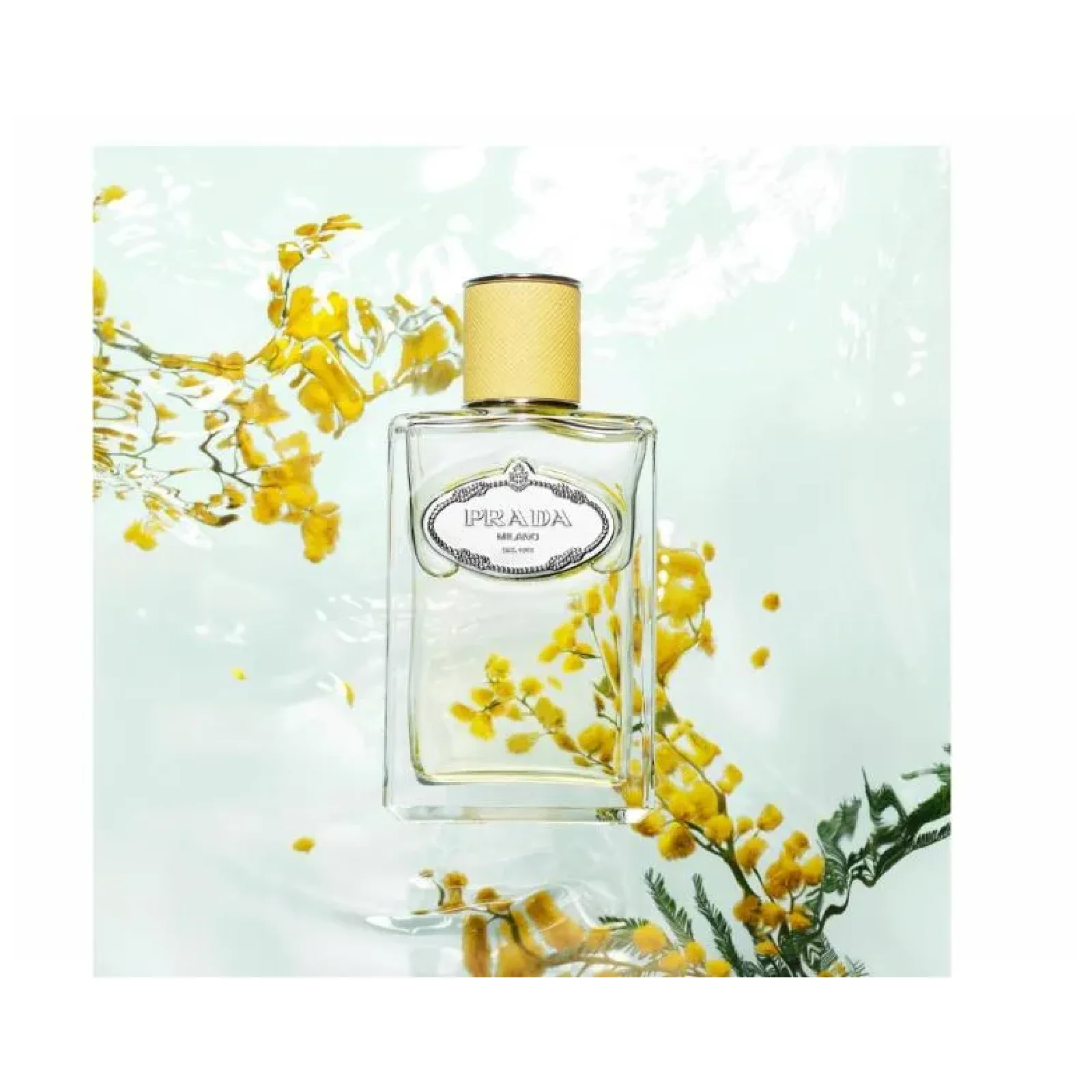 Prada Milano Les Infusions Mimosa Eau de Parfum for Women - Image 4