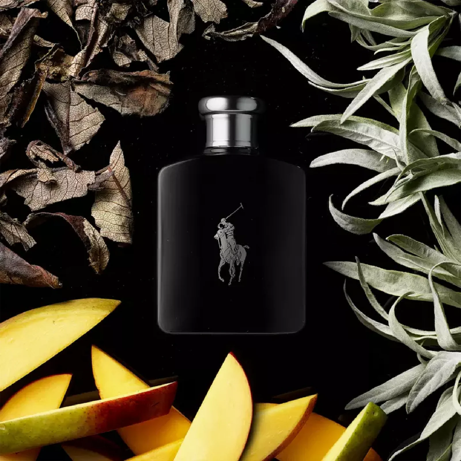 Ralph Lauren Polo Black Eau de Toilette for Men - Image 10