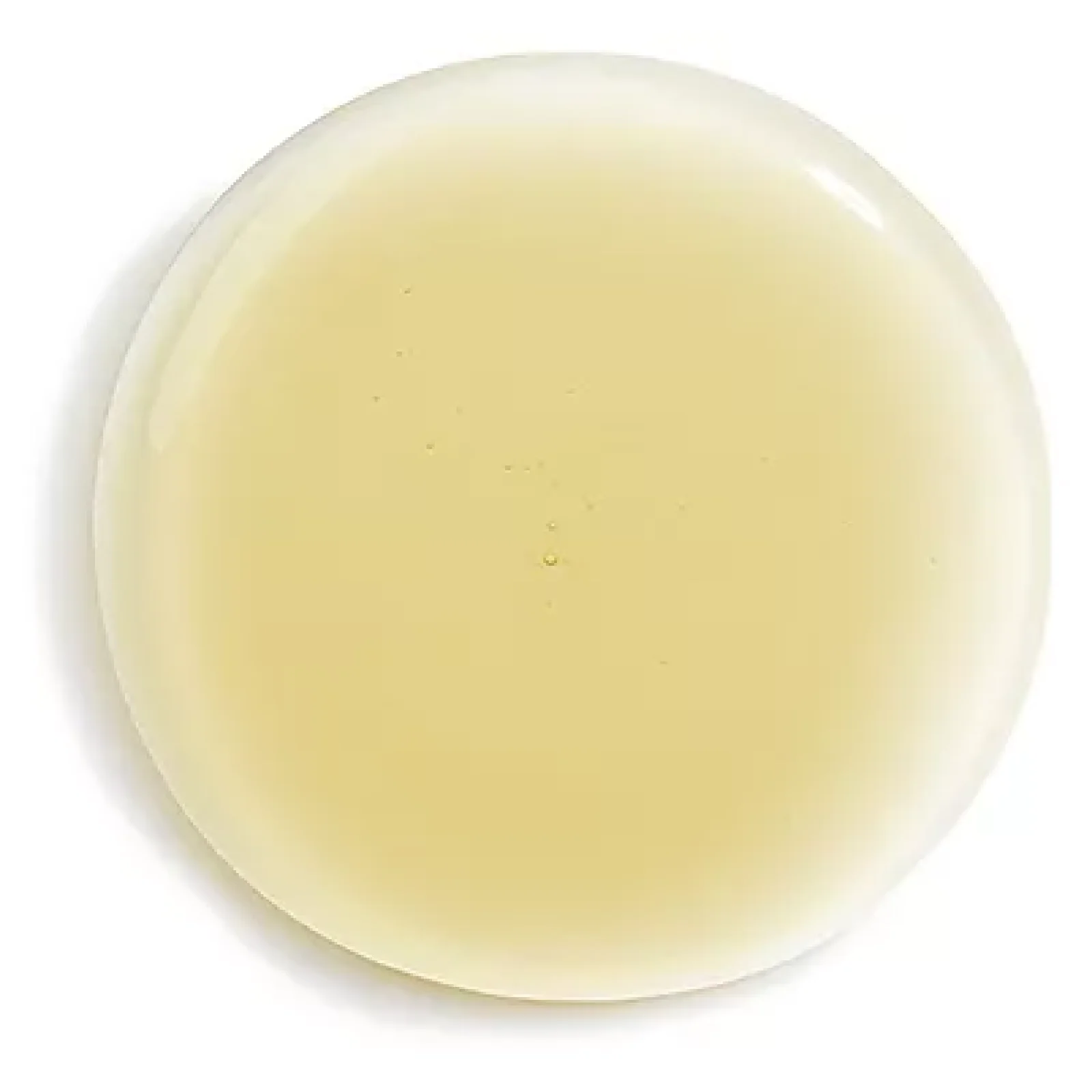 Sisley Revitalizing Straightening Shampoo With Moringa Oil for Everyone - Image 3
